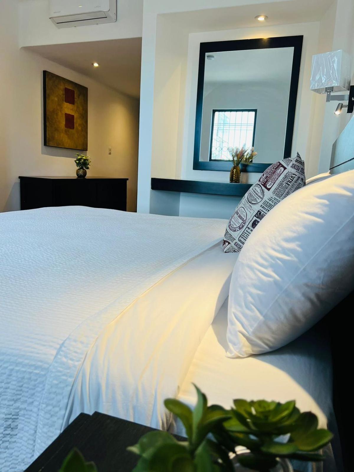 Qa Hotel San Luis Potosí Dış mekan fotoğraf