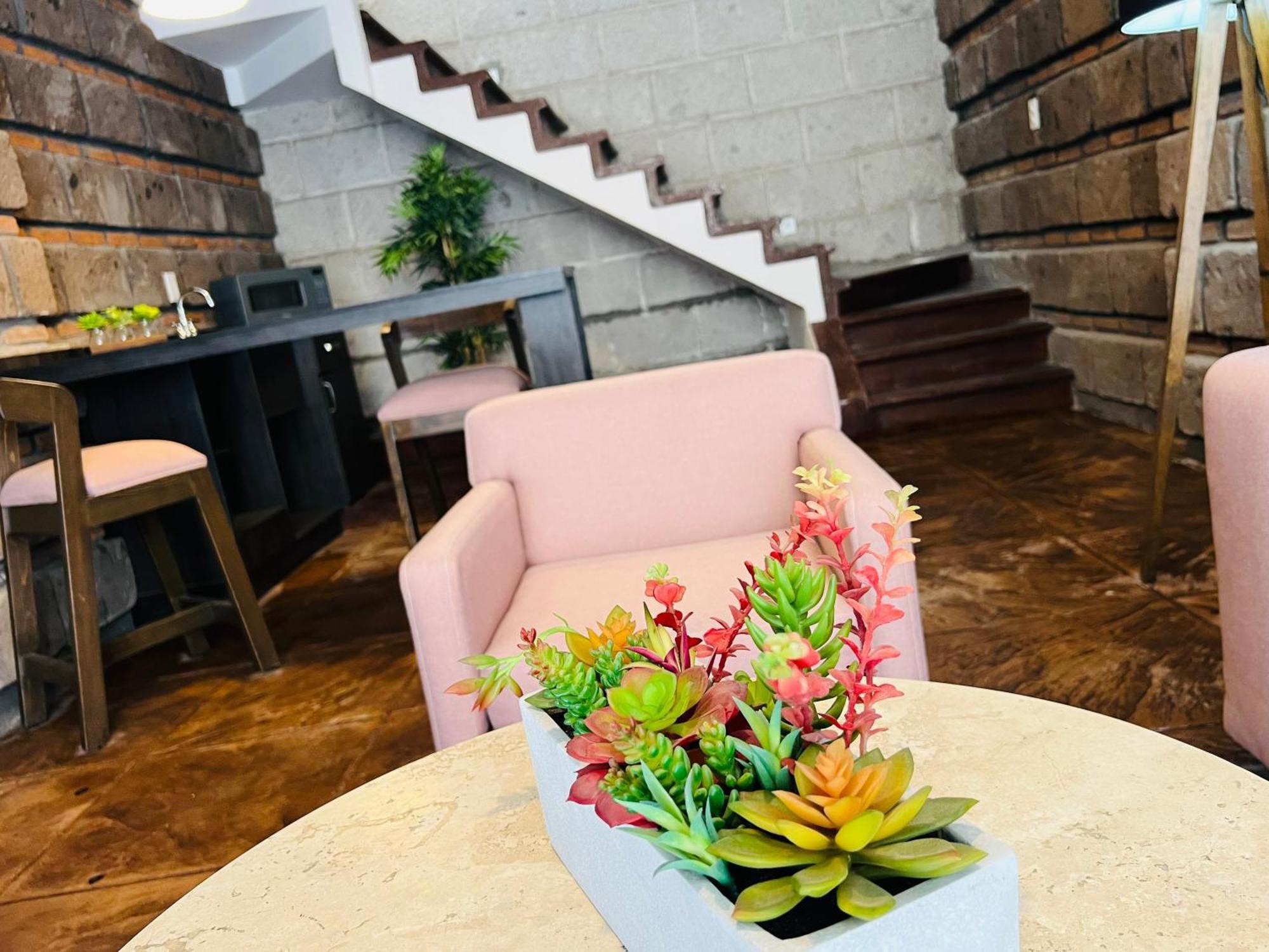 Qa Hotel San Luis Potosí Dış mekan fotoğraf