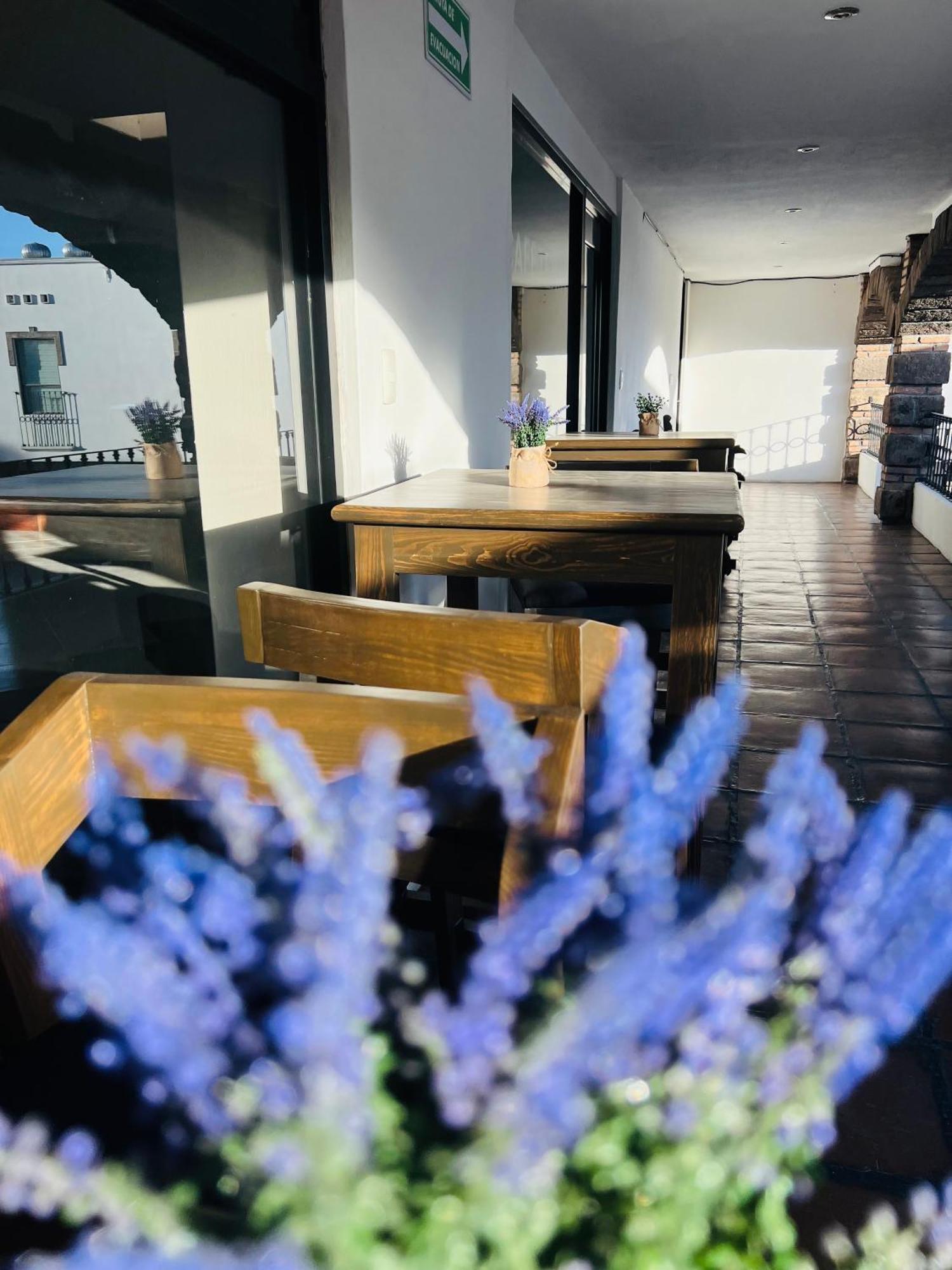 Qa Hotel San Luis Potosí Dış mekan fotoğraf